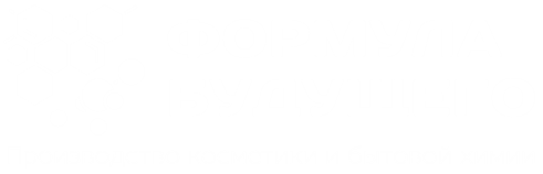 Формула Будущего